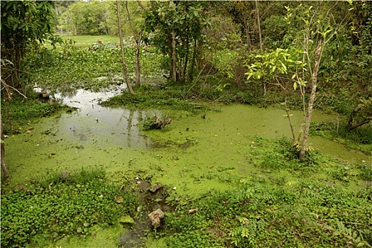 thong ke soi cau xsmb