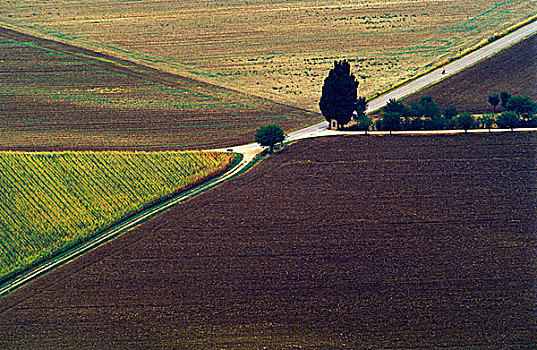 xsmb cau bach thu