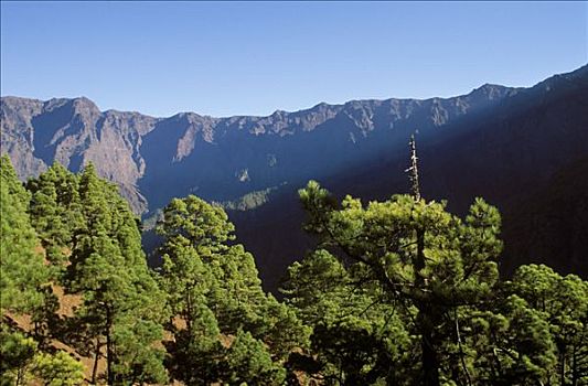 du doan trung thuong mn