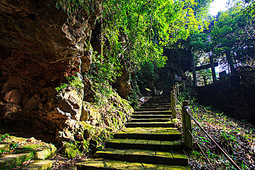bạch thủ đề