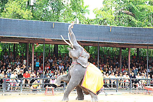 xskt đồng nai