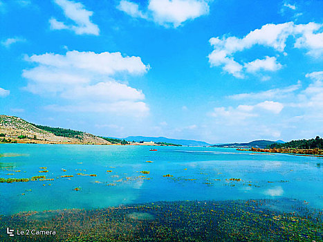 bạch thủ 3 càng