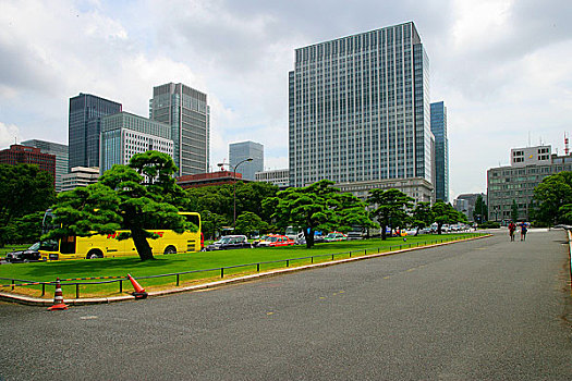 soi cau mo bi